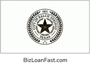 Business Loans in Balch Springs Texas